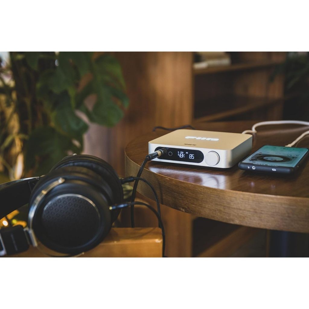 FiiO K11 R2R, Desktop DAC and Amplifier: for Home Audio/PC High-Performance DAC/AMP (K11 R2R)