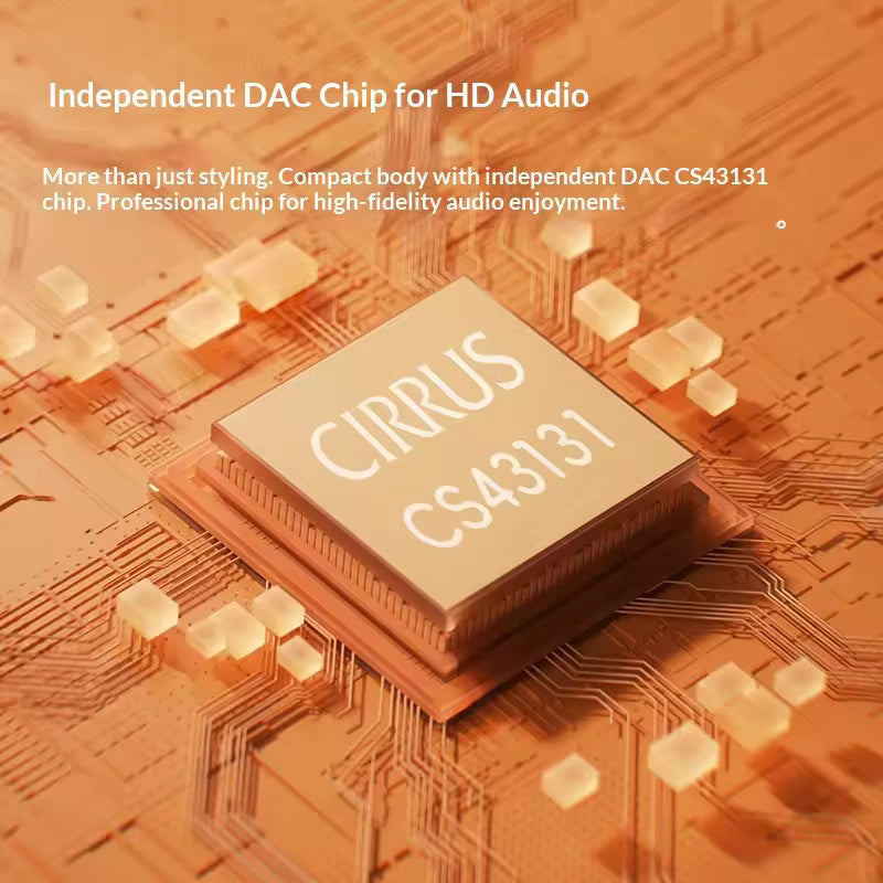 FiiO Snowsky Echo Nano, Portable Music Player DAP: DAC with 3.5mm Output & USB DAC Mode Music Player DAP (Echo Nano)