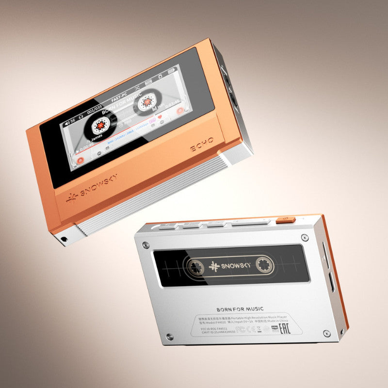 FiiO SNOWSKY ECHO, Portable Music Player DAP: Dual DAC Bluetooth Player with 3.5mm + 4.4mm Outputs (FiiO ECHO)