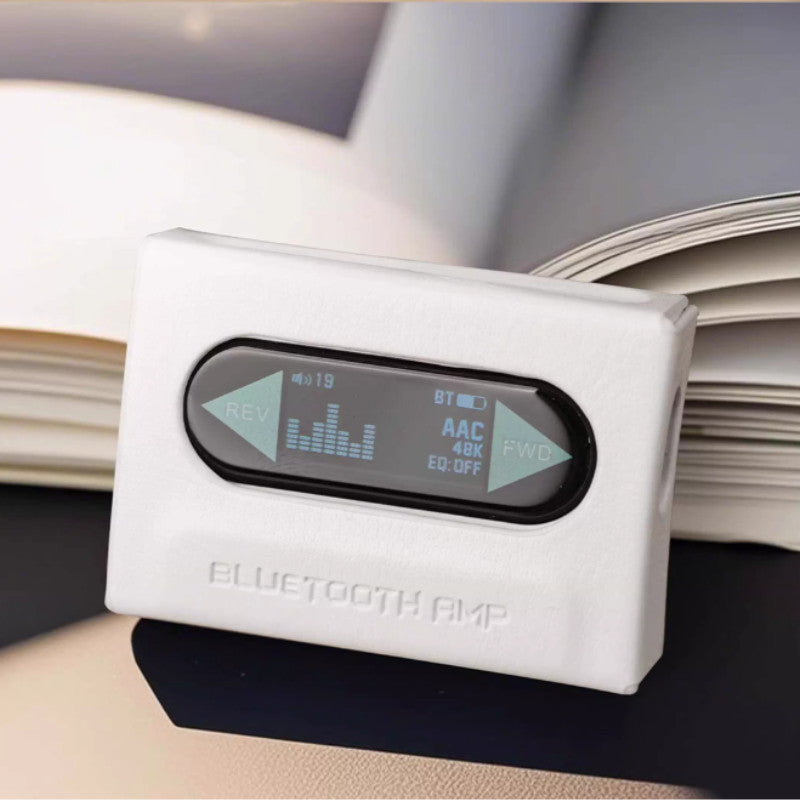 FiiO SK-RETRO NANO, Protective Leather Case: Vintage PU Leather with Metal Clip Casing for Retro Nano (Snow Sky)