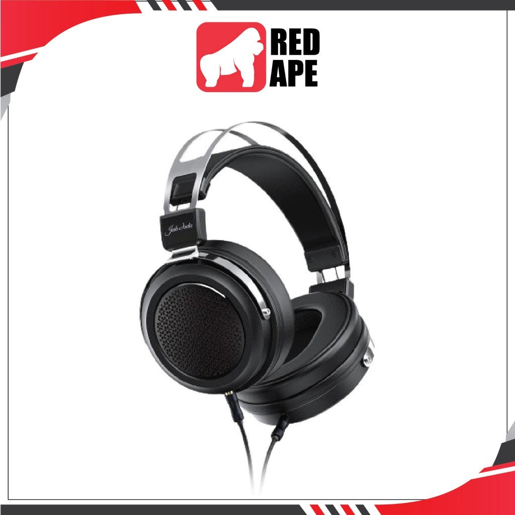 FiiO JT1, Dynamic Driver Over-Ear Headphones with Detachable Cable Mic: Professional Studio and Gaming Headset (JT 1)