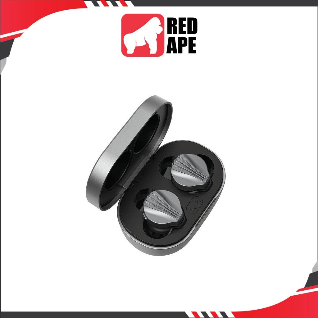 FiiO FW3, HiFi True Wireless Earbuds: 10mm Drivers with Bluetooth 5.2 Wireless Earphones TWS (FW 3)