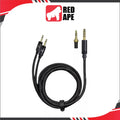 FiiO LL-RD 2024, Upgrade Cable: Dual 3.5mm High-Purity Monocrystalline Silver Cable with Swappable Plugs (LLRD)