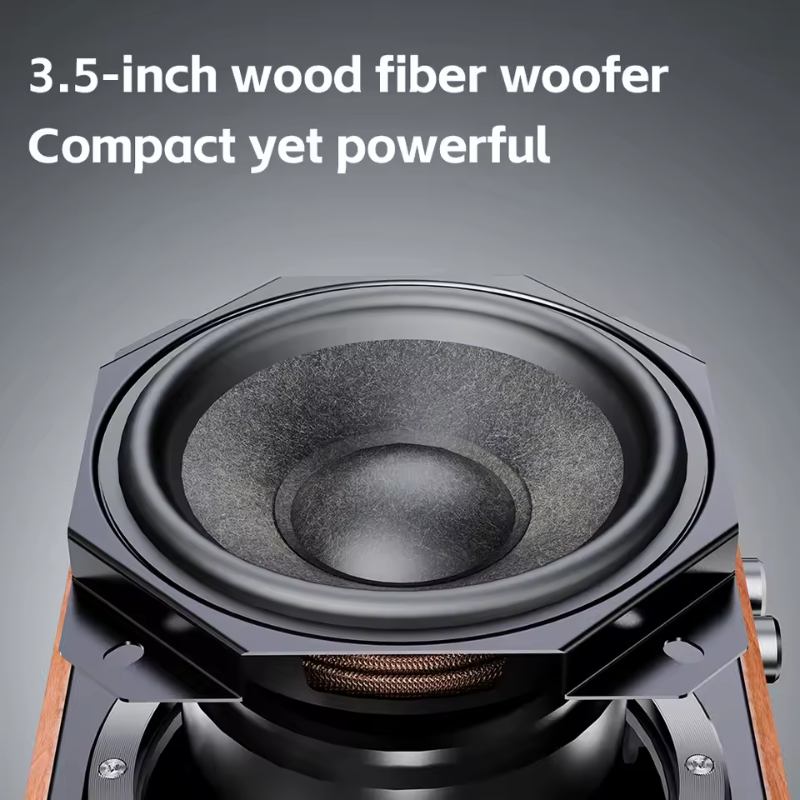 FiiO SA1, High-Fidelity Desktop Active Speaker: with 31 high-precision lossless PEQ, 3.5-inch Wood Fiber Woofer (SA1)