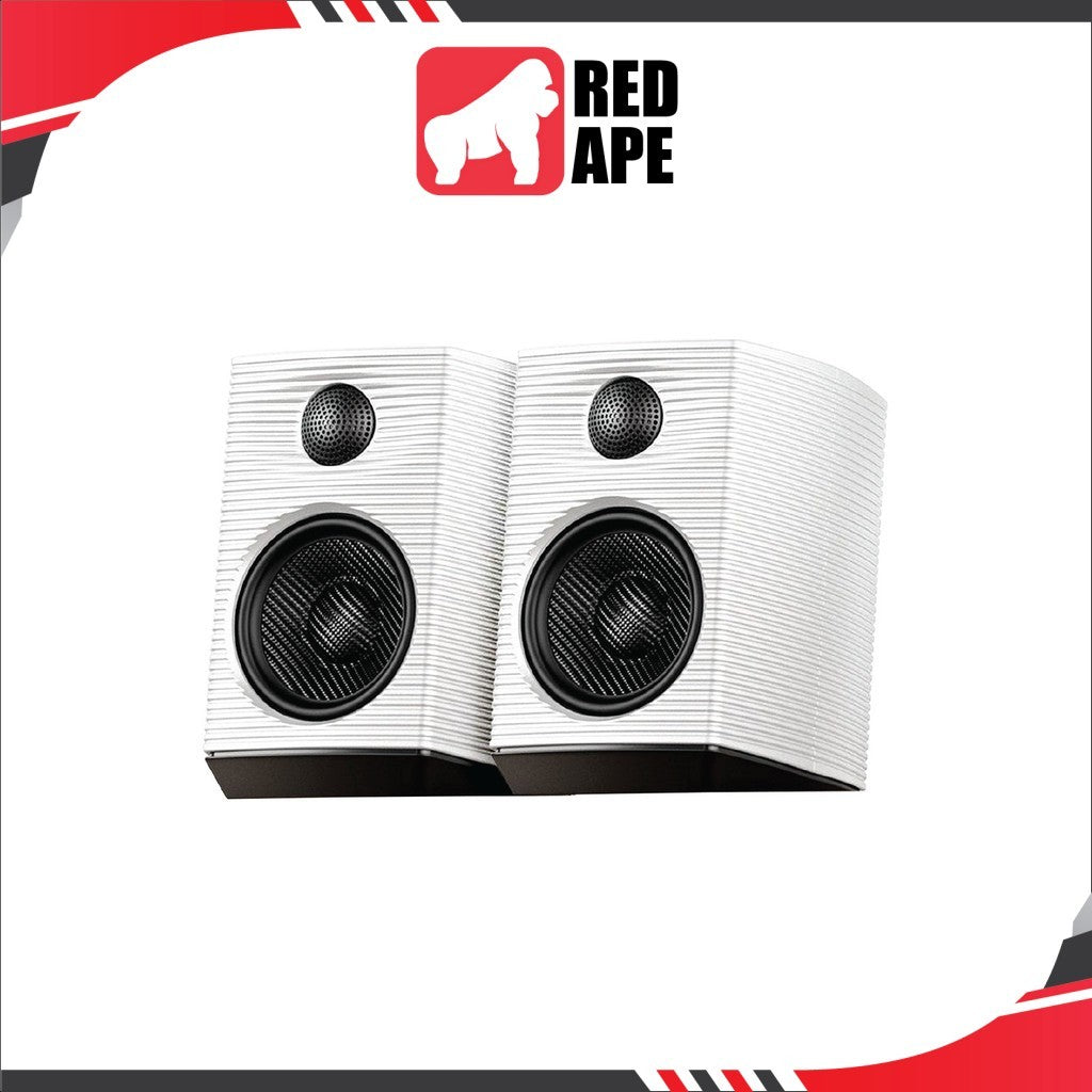FiiO SP3, Desktop Monitor Speaker: Powered HiFi- 80W, with AUX Audio/RCA, 2-Way Speakers (SP 3)
